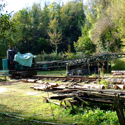 Gatwick Links - Amberley Museum Gardens