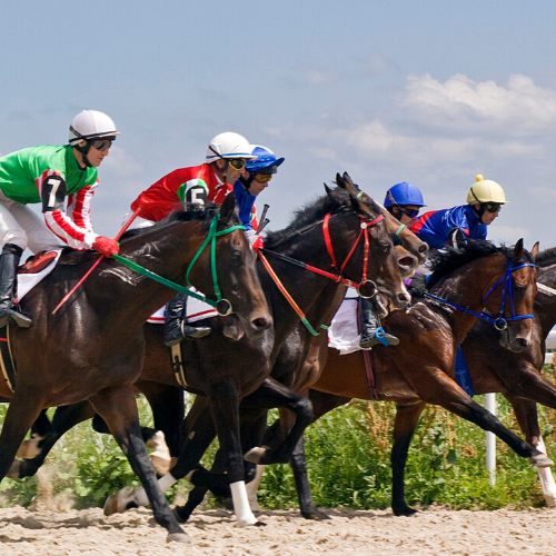 Things to do near Gatwick  - Lingfield Park Racecourse