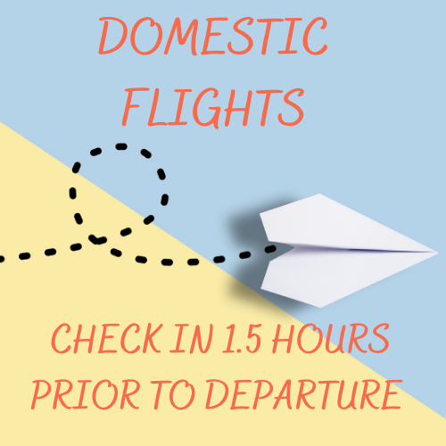 Planning your trip - domestic flights